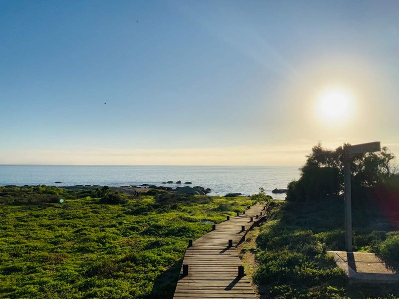 Ocean View Plot, Steenbergs Cove, St Helena Bay - Photo 3