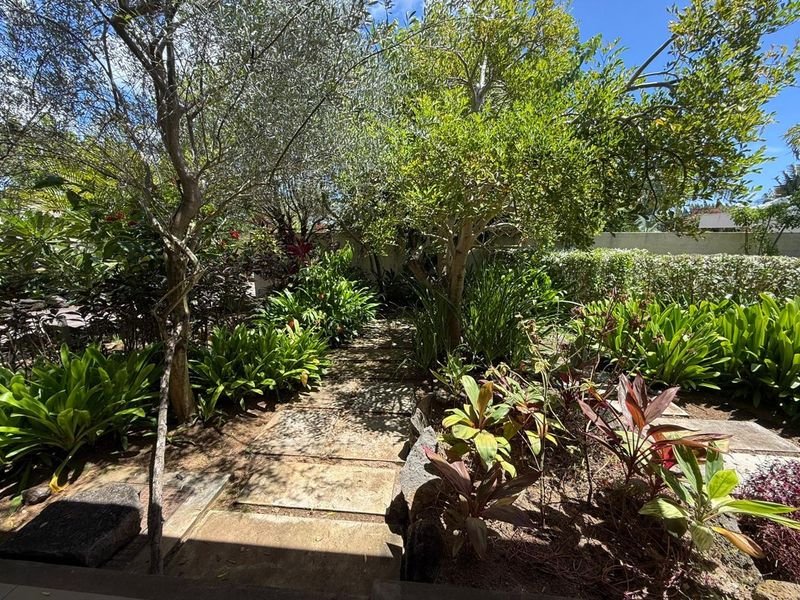 Luxury Spacious Home - Photo 7