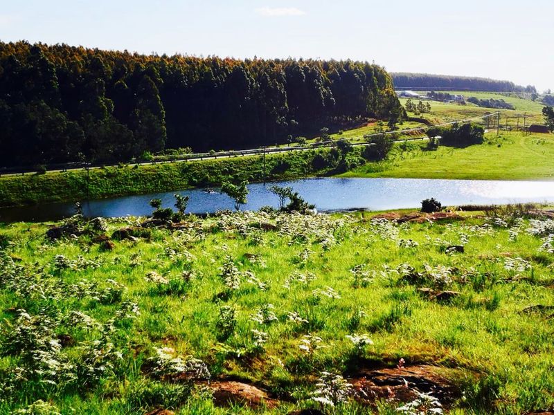 Farm for sale in Louwsburg - Photo 3