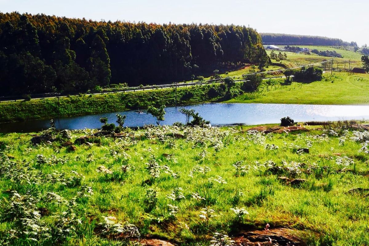 Farm for sale in Louwsburg - Photo 3