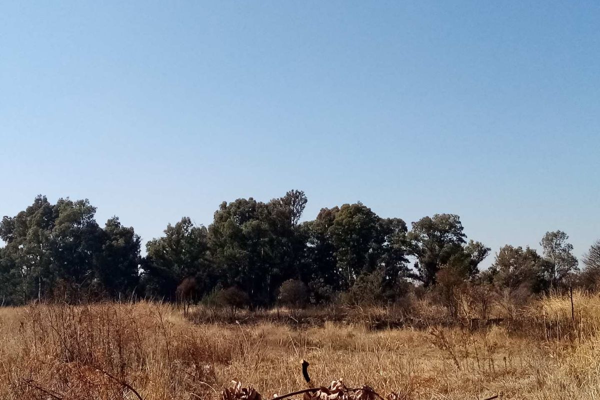 8.5 HECTARE VACANT LAND FOR SALE FOR RESIDENTIAL 4 DEVELOPMENT IN SHERE, JUST OFF GRAHAM ROAD. - Photo 4