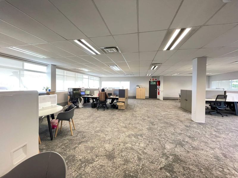 Open-plan office space featuring a suspended ceiling, recessed lighting, and durable carpet flooring, providing a functional and professional work environment.