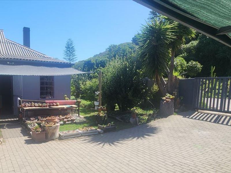 A beautiful setting with beautiful trees - Photo 4