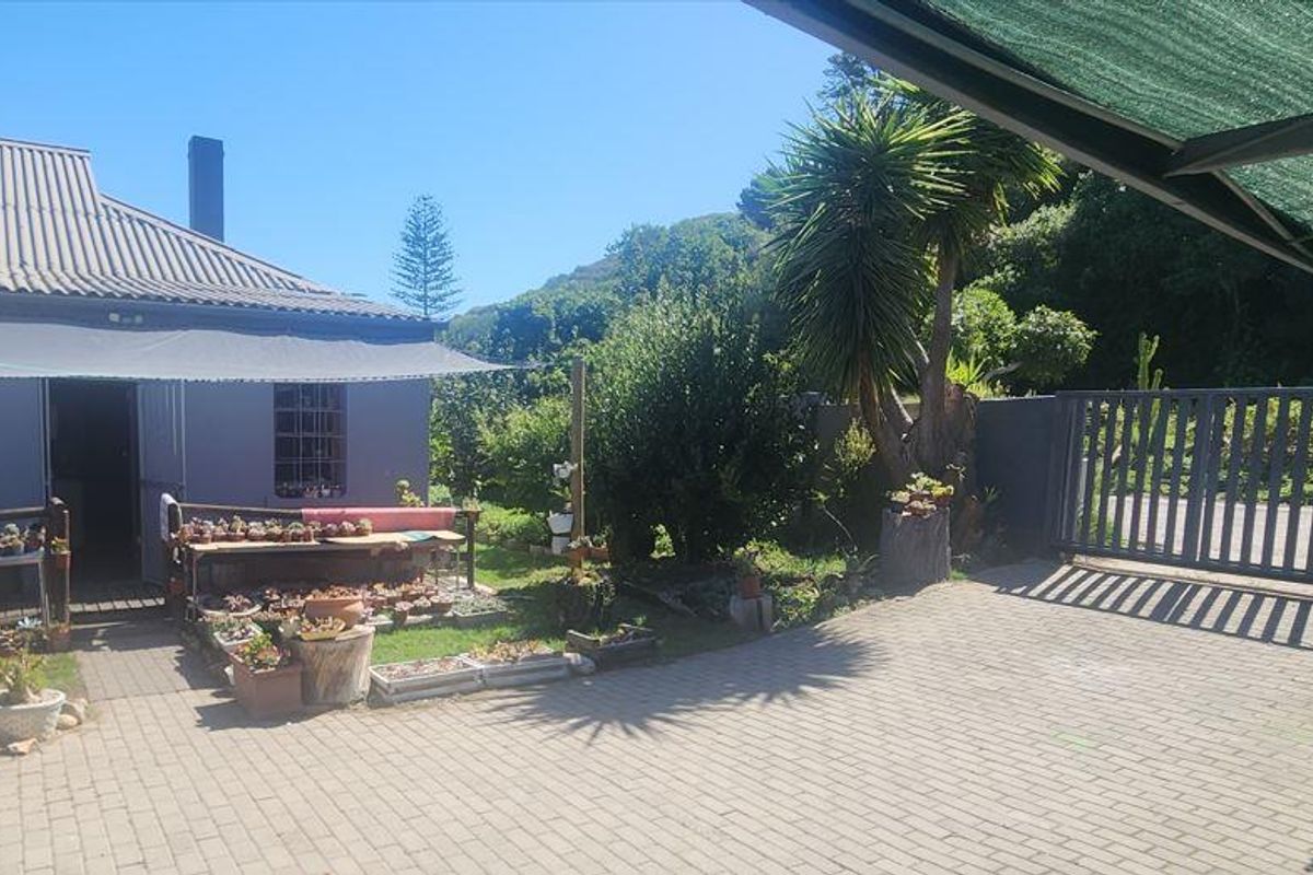 A beautiful setting with beautiful trees - Photo 4