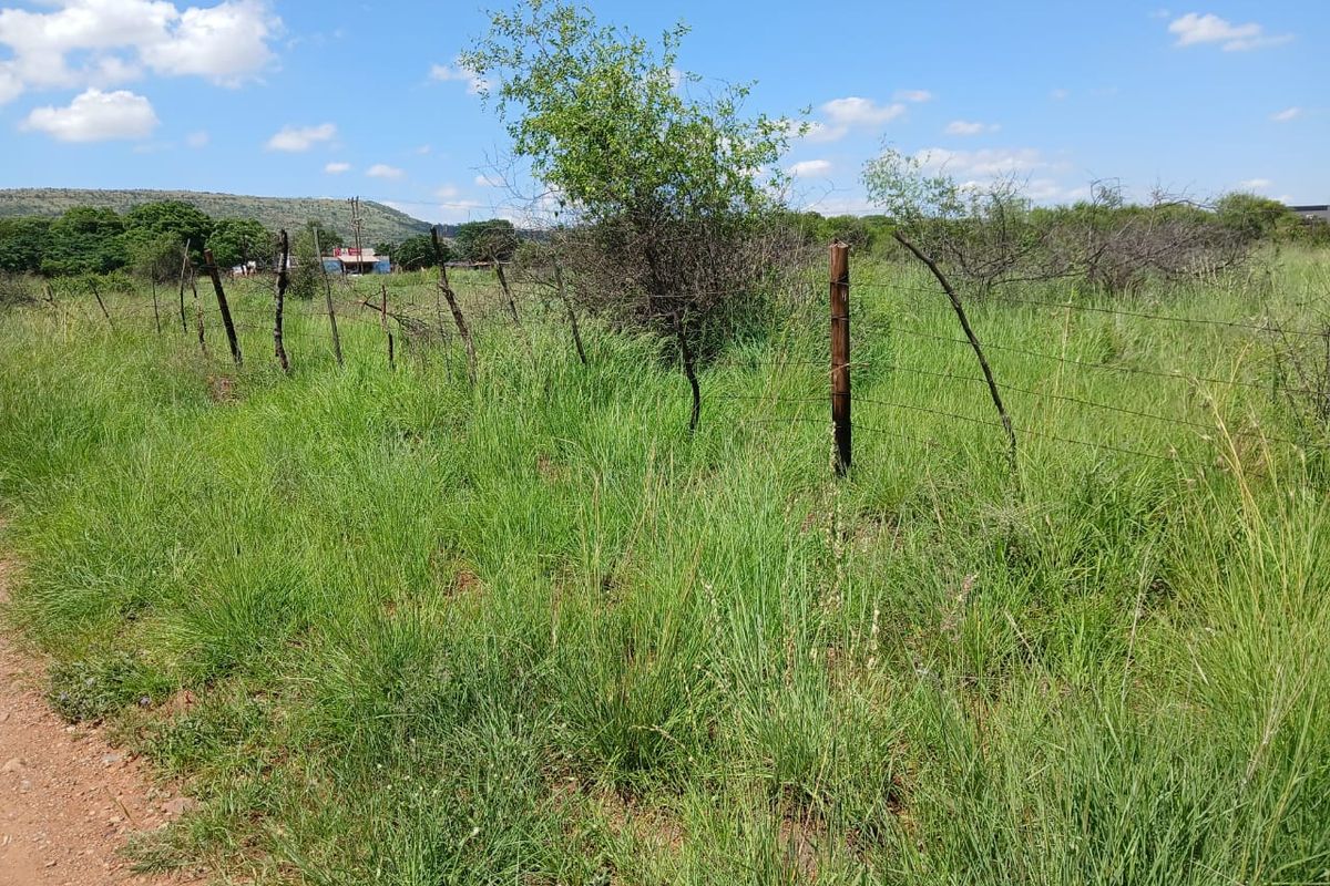 Investment Opportunity - Photo 3