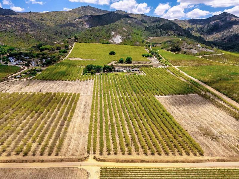 De Veluwe | Soulful country living - Photo 2