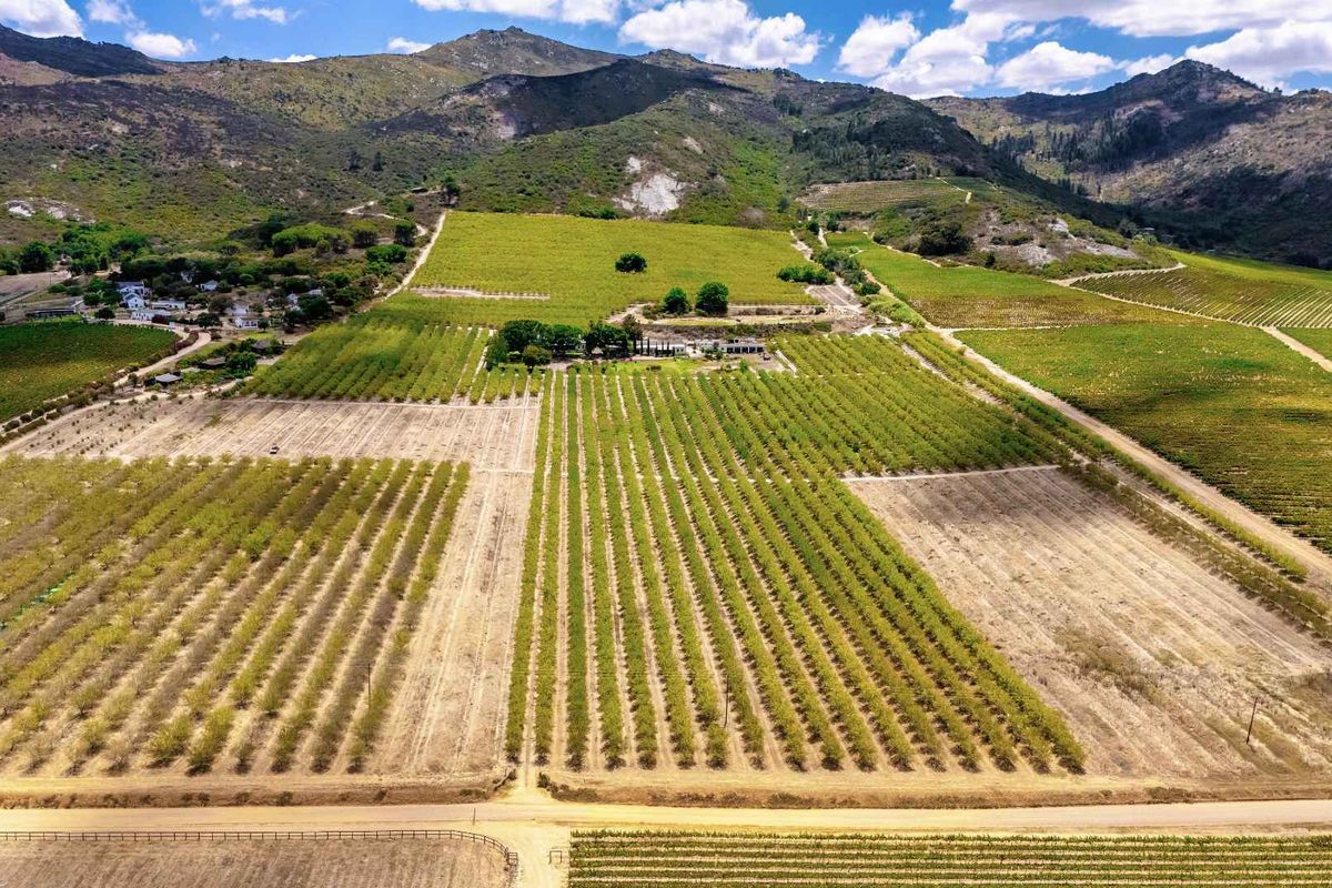 De Veluwe | Soulful country living - Photo 2