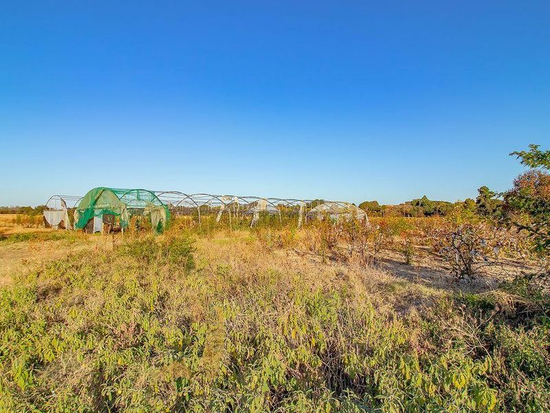 Charming Retired Farm in Doornpoort – A Unique Opportunity - Photo 7