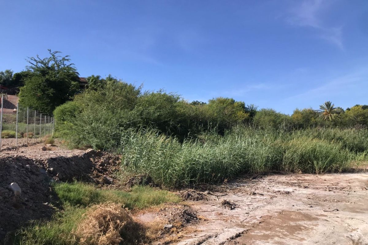 Vacant stand on 'n prime spot in a very popular area. - Photo 3