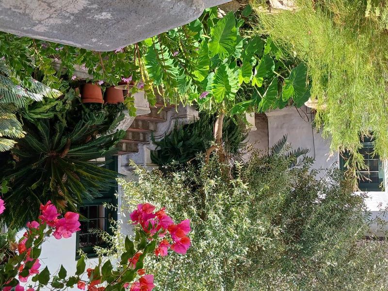 Stunning Cape Dutch Farm for Sale in Clanwilliam – A Picturesque Retreat with Luxurious Accommodations and Prime Agricultural Potential - Photo 8