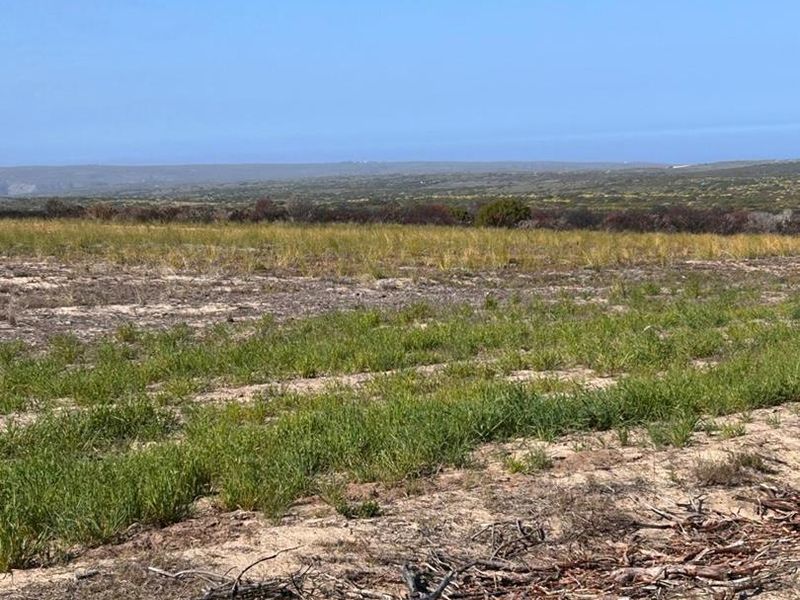 EXCEPTIONAL BEAUTIFUL VERSITILE FARM TO DEVELOP. TOURIST ATTRACTION - Photo 7