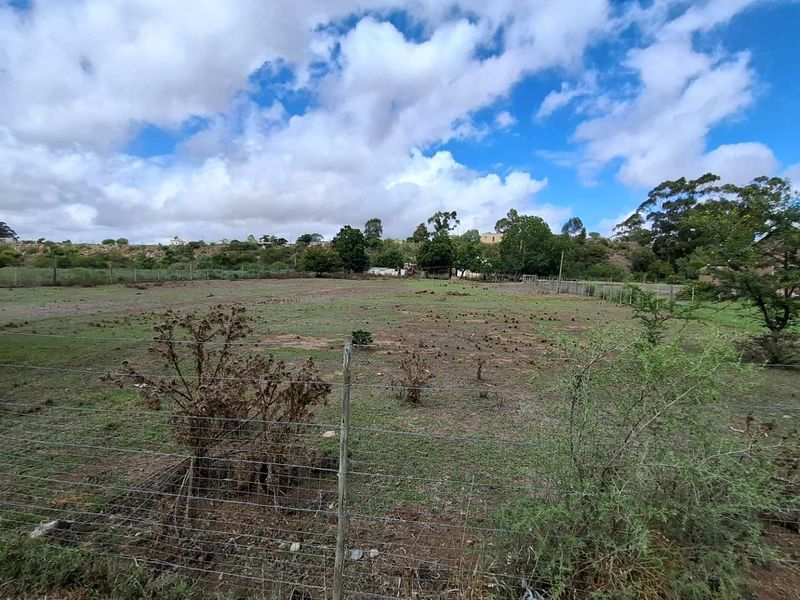 Level Land with Approved Plans: Your Next Big Venture Awaits! - Photo 6