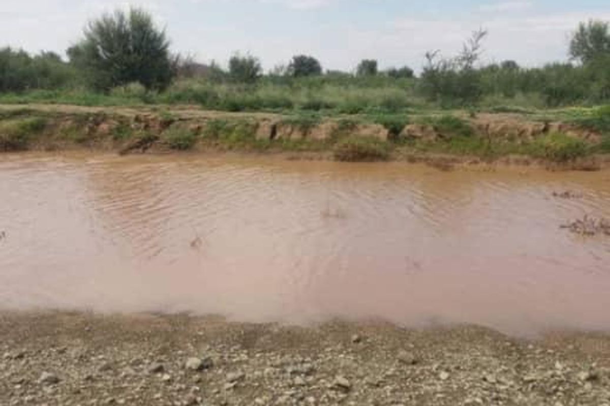 FARM FOR SALE - KEETMANSHOOP - Photo 3