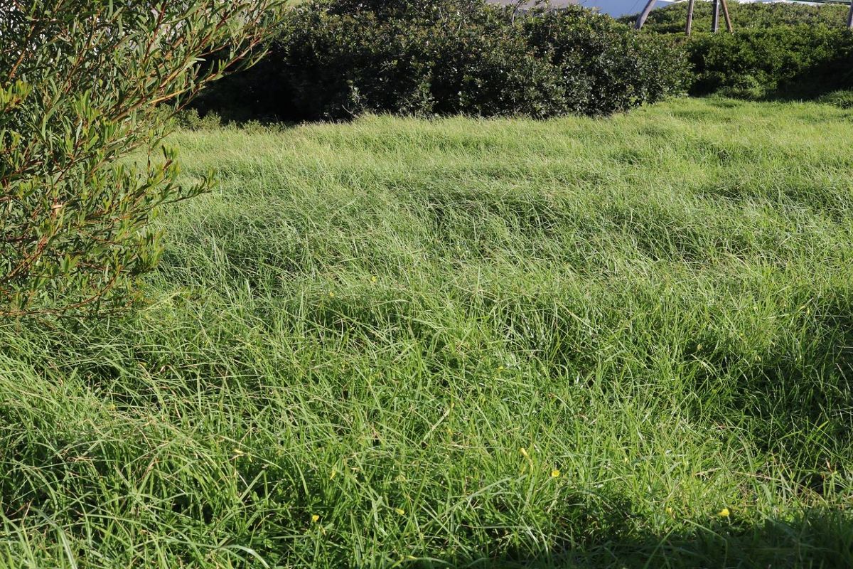 Vacant Land For Sale In Dana Bay - Photo 5