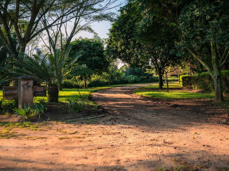 Spacious Modern Country Living in the Heart of KZN - Photo 6