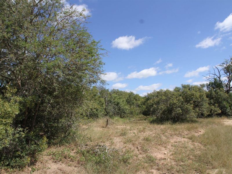 Vacant stand for Sale - Photo 3