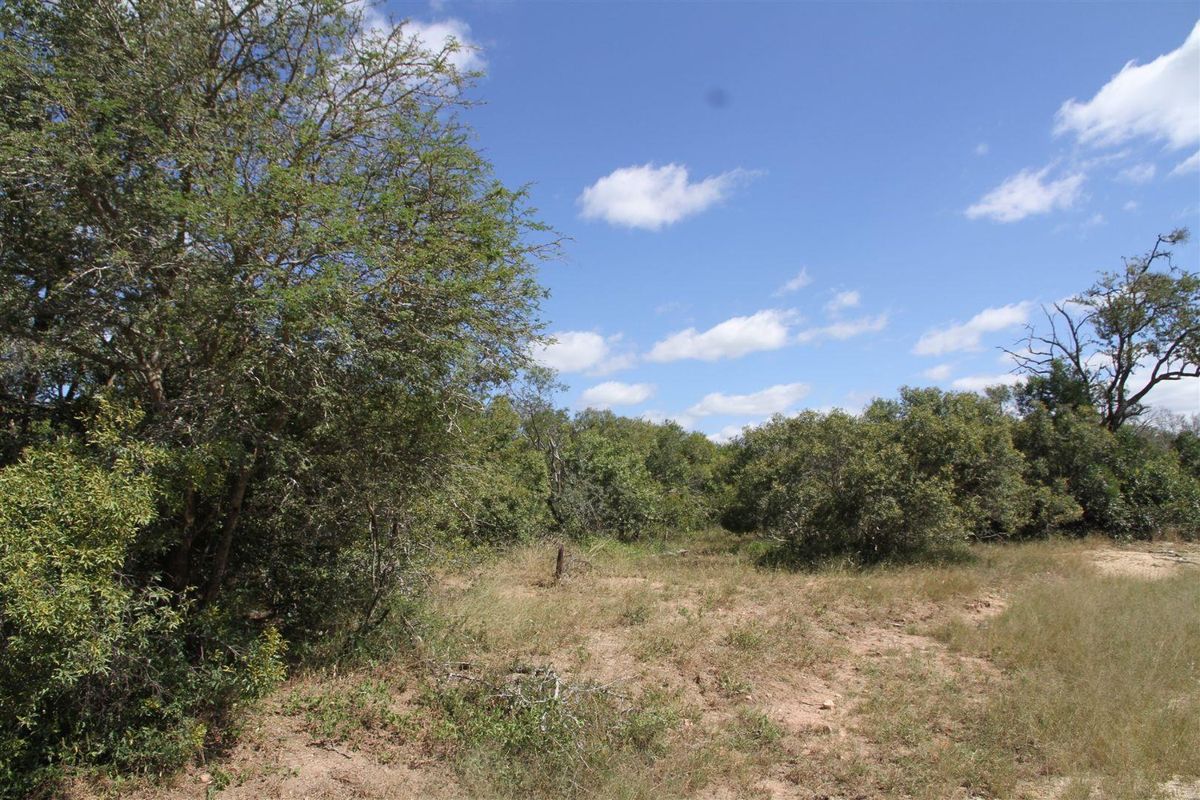 Vacant stand for Sale - Photo 3