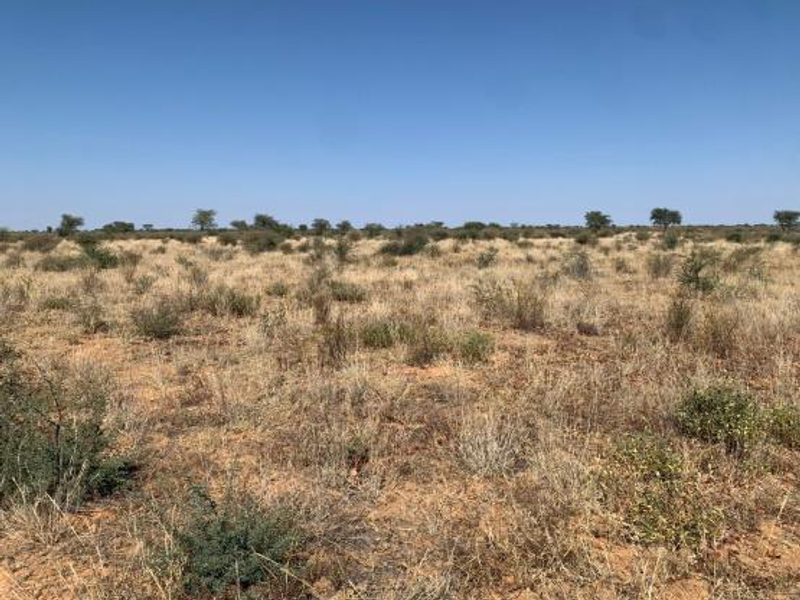 CATTLE FARM FOR SALE IN OTJOZONDJUPA REGION - Photo 7
