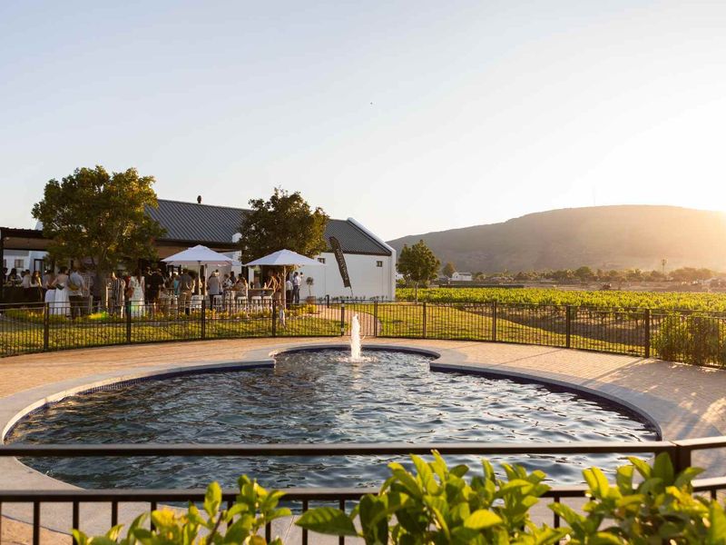 A well-maintained swimming pool with a central fountain, surrounded by paved decking and metal fencing, overlooking a scenic vineyard and mountain landscape.