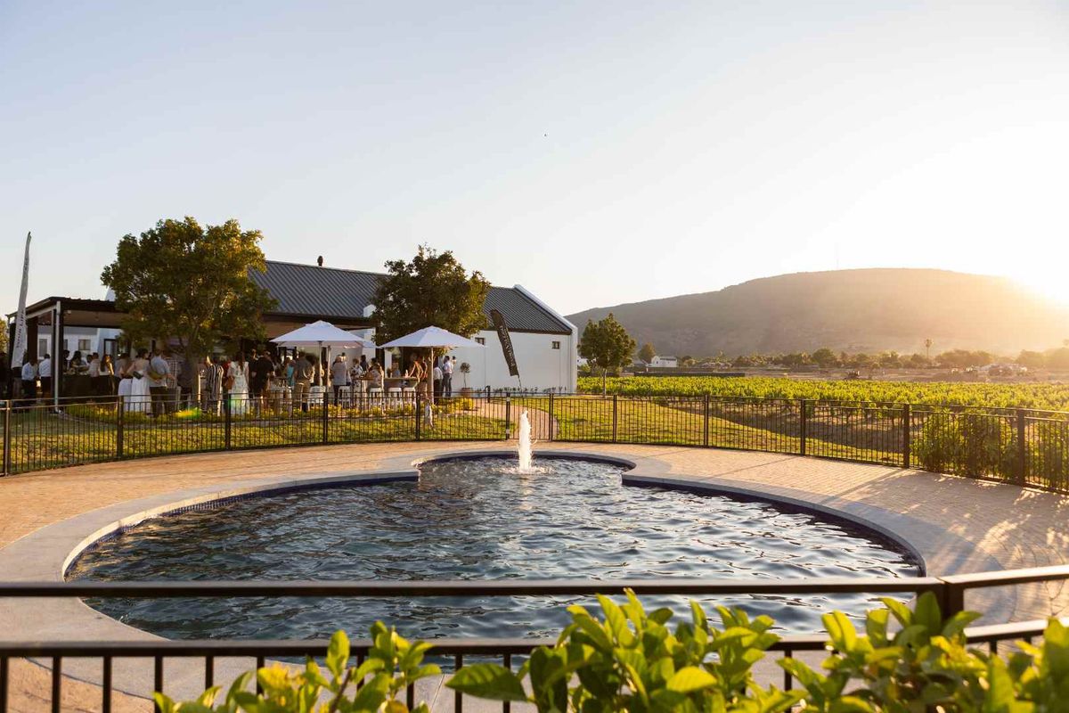 A well-maintained swimming pool with a central fountain, surrounded by paved decking and metal fencing, overlooking a scenic vineyard and mountain landscape.
