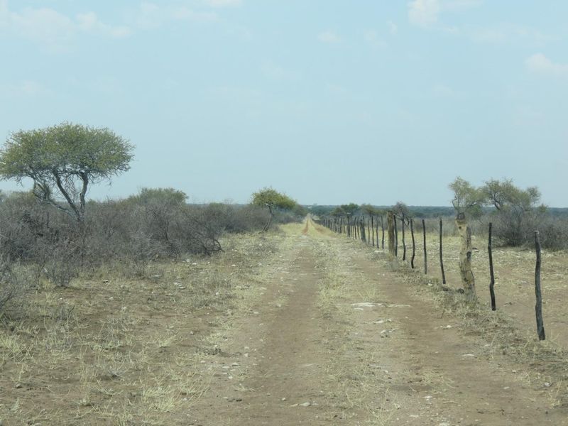 FOR SALE - FARM IN THE HOCHFELD AREA, NAMIBIA - Photo 2