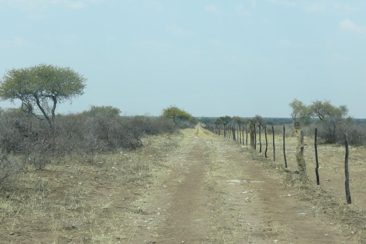 FOR SALE - FARM IN THE HOCHFELD AREA, NAMIBIA - Photo 2
