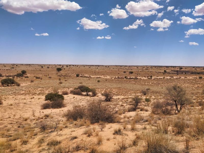 EXCEPTIONAL KALAHARI FARM FOR SALE IN NAMIBIA - HARDAP DISTRICT - Photo 7