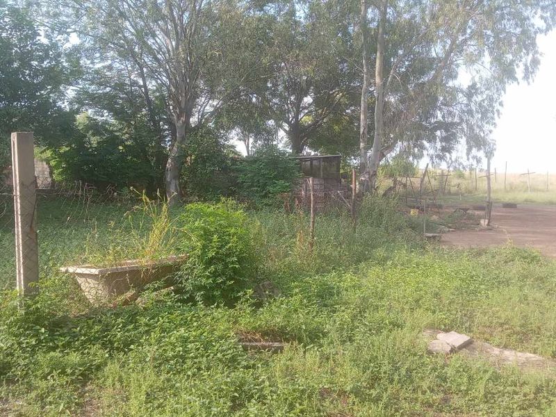 Vacant land in Pretoria North Onderstepoort - Photo 5