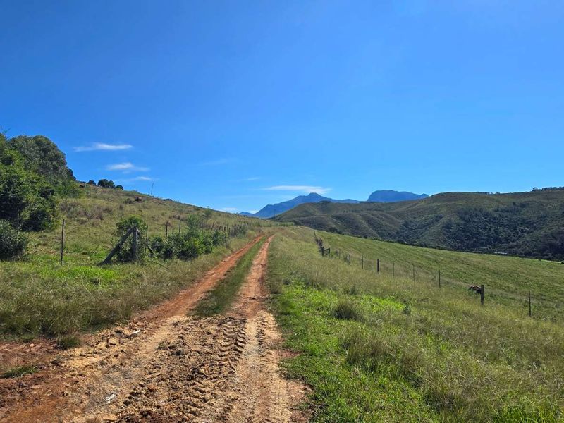 Spectacular Ruiterbos Farm with River Frontage & Panoramic Views - Photo 9