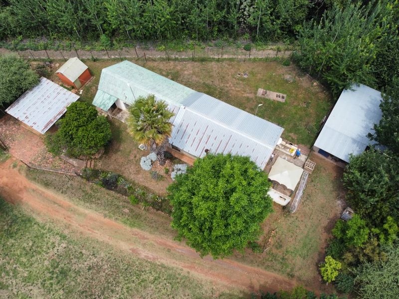 Income-Generating Smallholding with Water Security and Development Potential - Photo 6