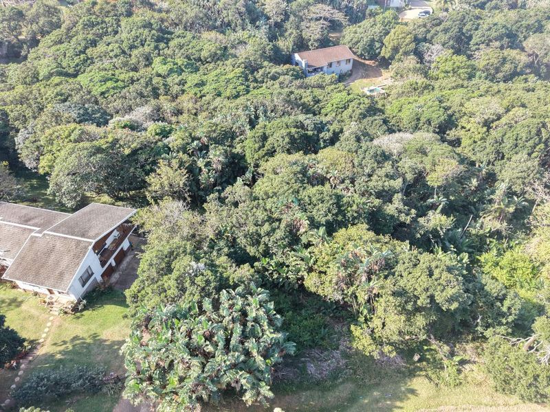 Aerial view of a residential property featuring a large, densely wooded plot with mature trees and established surrounding residential structures.