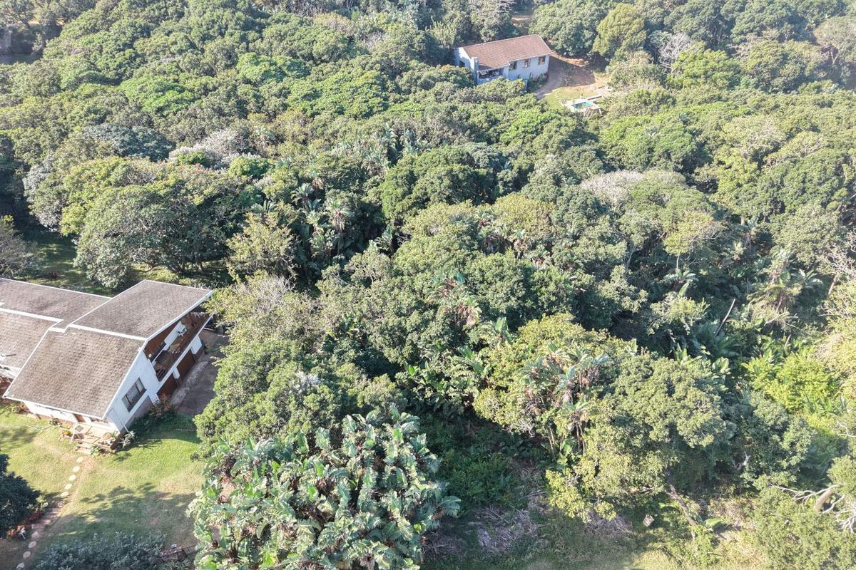 Aerial view of a residential property featuring a large, densely wooded plot with mature trees and established surrounding residential structures.
