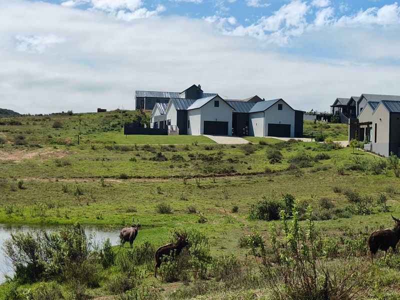 Large family home in Wildlife Estate - Photo 5