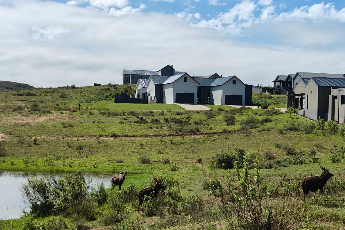 Large family home in Wildlife Estate - Photo 5