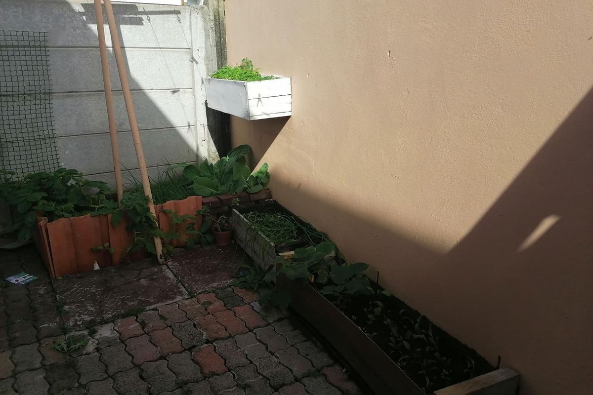 A small outdoor courtyard area featuring paved flooring, boundary walls, and built-in planter boxes for gardening.