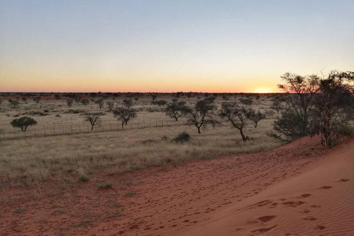 OWN YOUR PIECE OF NAMIBIA - FARM FOR SALE IN NAMIBIA - Photo 2