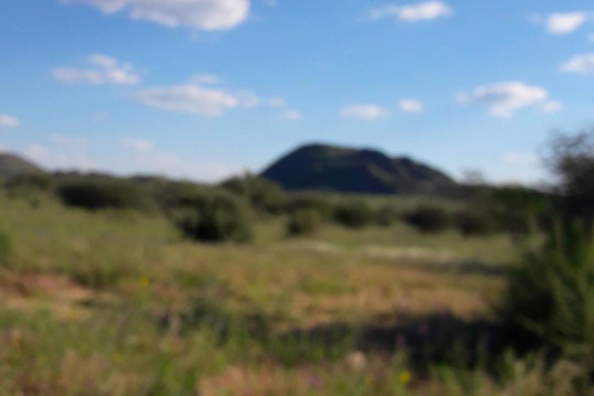REDUCED!!! Farm south of Karibib 13 222 HA - Photo 2