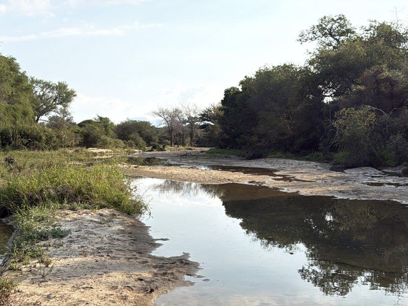 A scenic view of a natural riverbed surrounded by indigenous trees and vegetation, showcasing the tranquil landscape of the vacant land property.