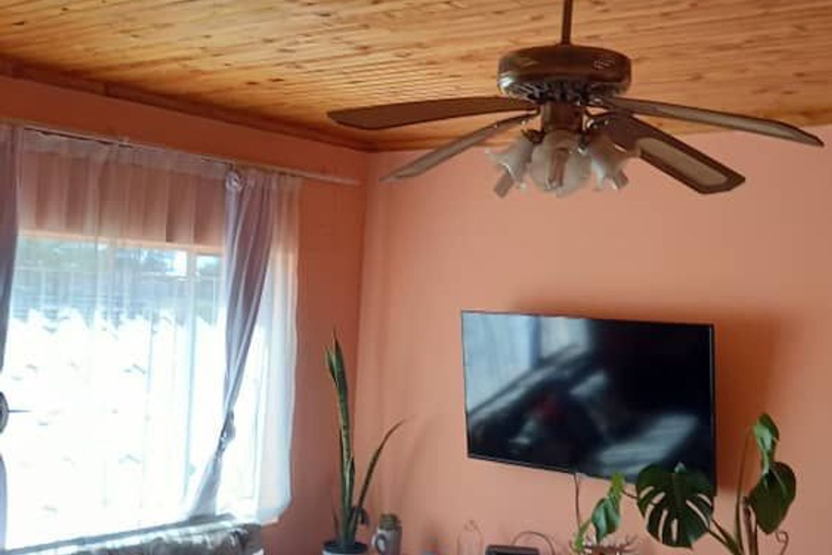 A cozy living room featuring a warm timber-paneled ceiling, a central ceiling fan, and tiled flooring.
