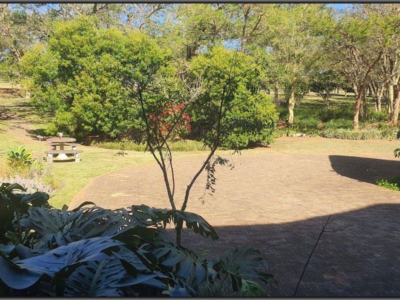A view of a well-maintained garden area featuring a paved driveway and mature trees on a small holding property.
