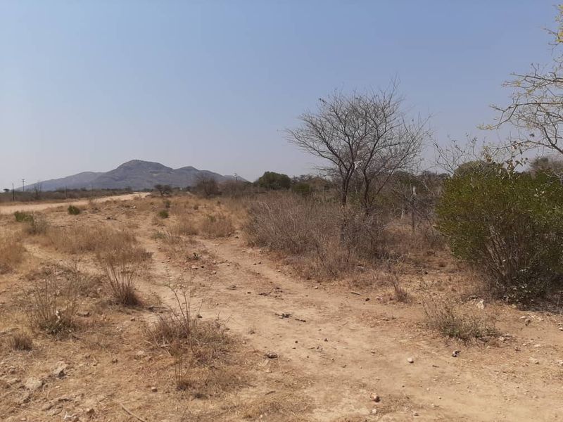 FOR SALE- LARGE AND WELL SITUATED SMALL HOLDING IN OTAVI, NAMIBIA - Photo 2