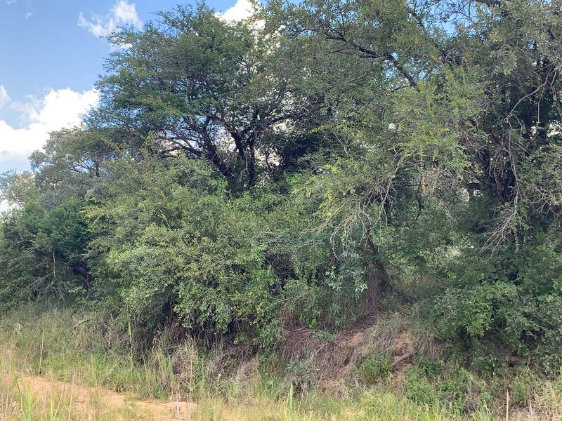 Welcome to the South African bushveld!   Lovely vacant riverbed stand for sale! - Photo 8