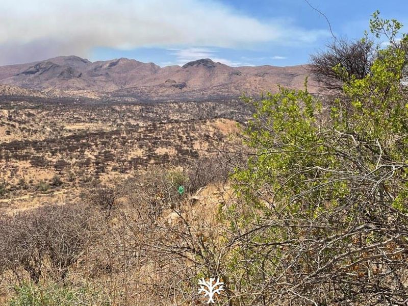 FOR SALE | N$3 000 000 KLEINE KUPPE, WINDHOEK - Photo 4