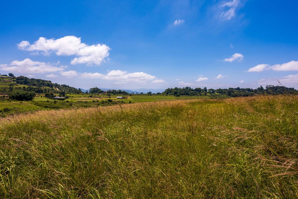 Prime Stand in Stoneford Country Estate with Architect-Designed Plans & Sweeping Views - Photo 4