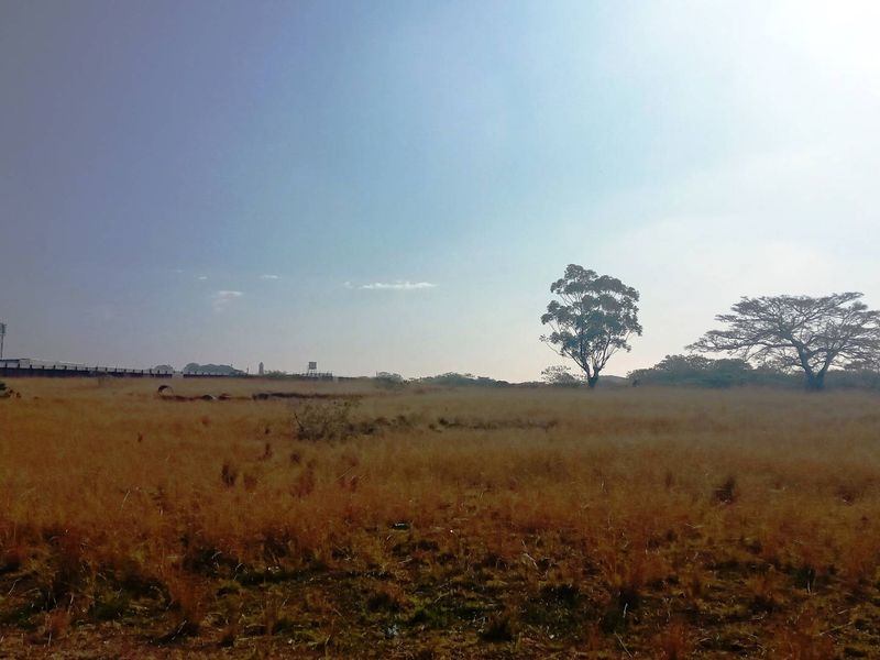 A wide-angle view of a large, undeveloped vacant commercial land plot featuring open grassland and mature trees.