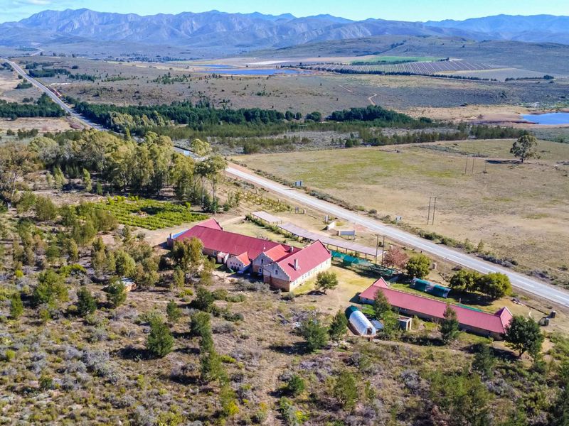 Own a Landmark Lifestyle Farm on Route 62 – Misgund, Langkloof (10.38 ha) - Photo 8