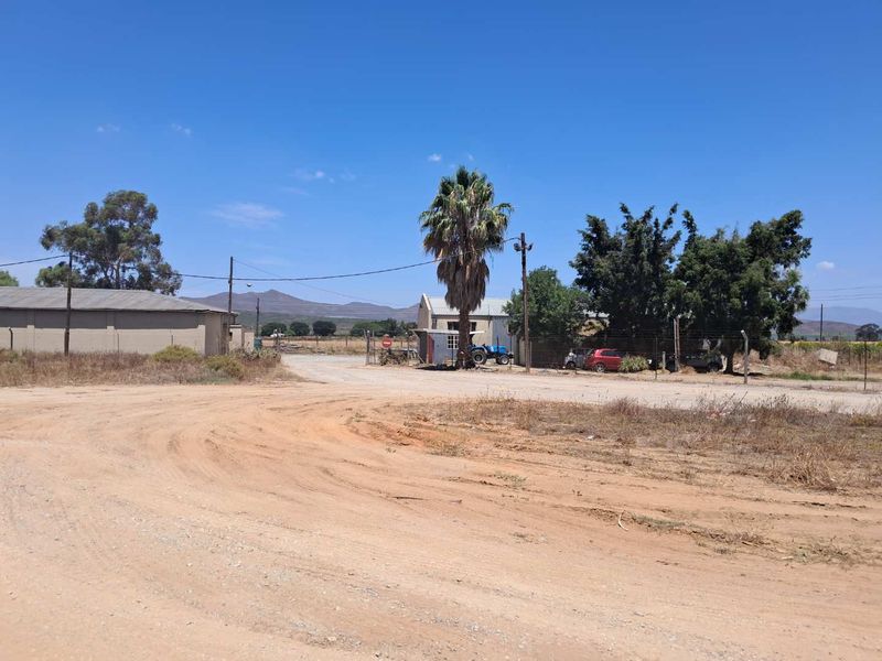 Fabulous Investment Opportunity - Photo 3