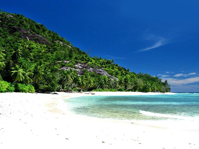 OFF MARKET OPPORTUNITY TO ACQUIRE AND OWN A PRIVATE ISLAND IN THE INCREDIBLE SEYCHELLES - Photo 4