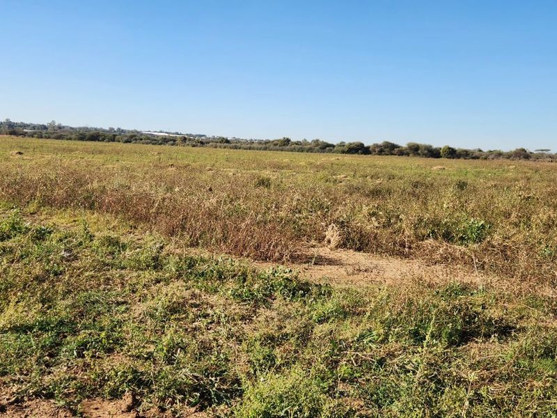25 Hectares Irrigated Land for sale - Photo 10