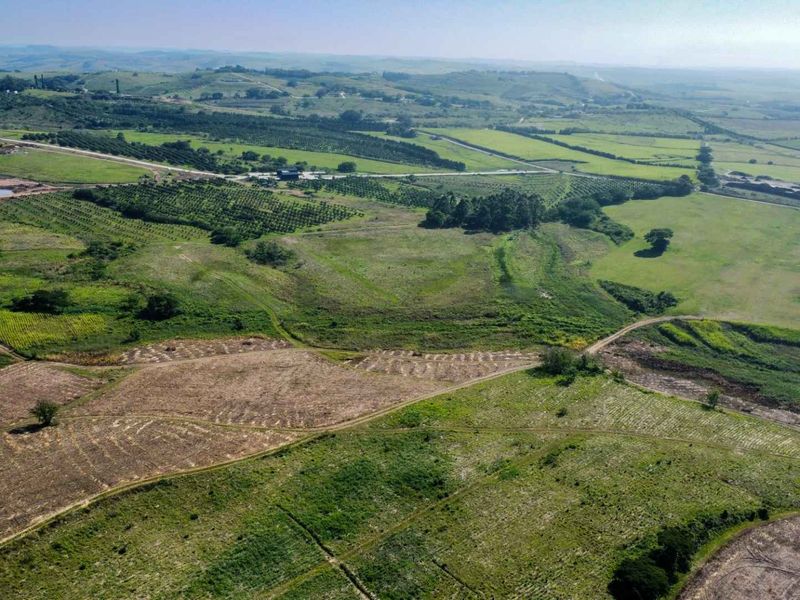 An aerial view of expansive farmland featuring rolling hills, cultivated orchards, and dirt access roads across the property landscape.